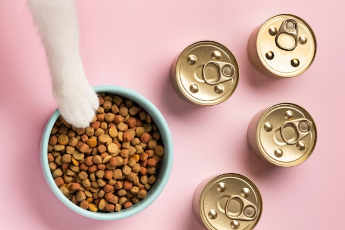 Полезные советы по выбору и подбору корма для стерилизованного кота — как обеспечить ему здоровое питание и поддержать оптимальное состояние после операции